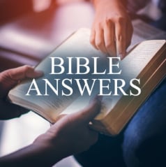 Amazing Bible Studies